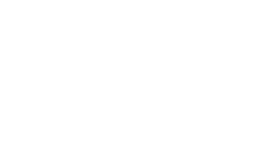 Red Car Service